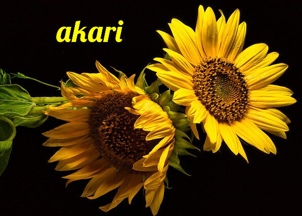 Ateliers AKARI