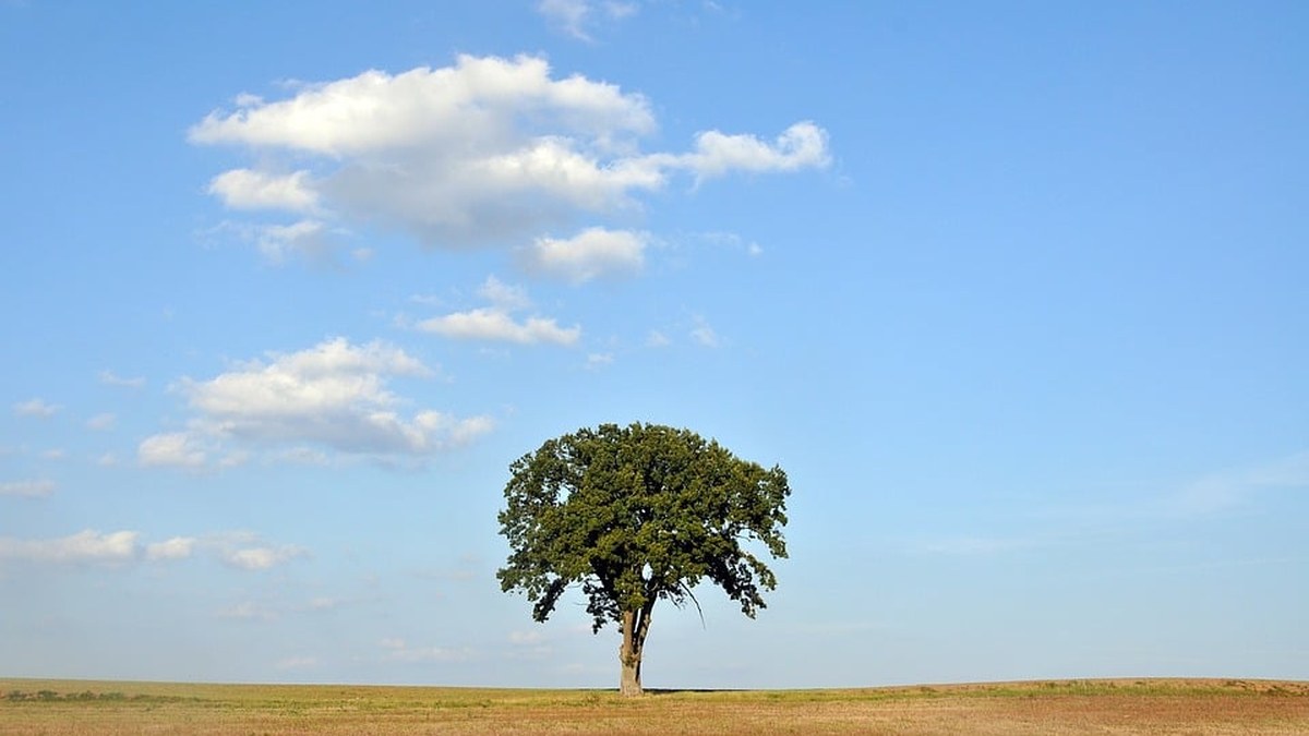 Trente mille jours…